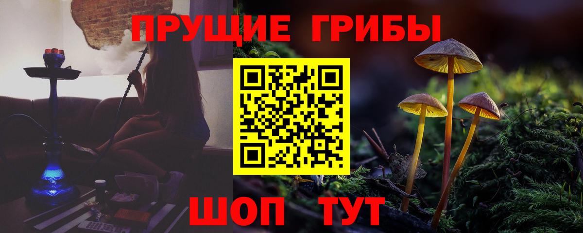Губаха  Галлюциногенные грибы мухоморы  Вход с VPN 
